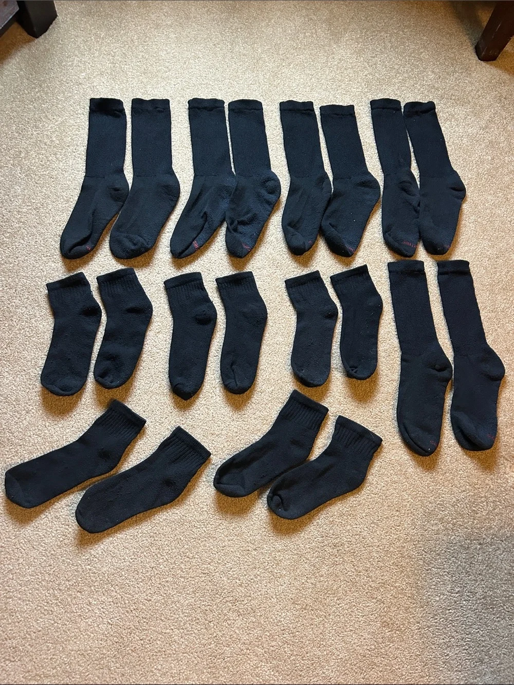 10 pairs of boys socks